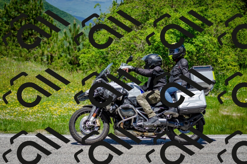 202506011237-DSC_4319_c2