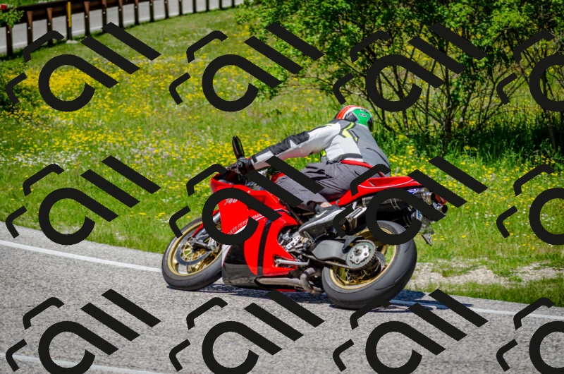 202506011238-DSC_4326_c2