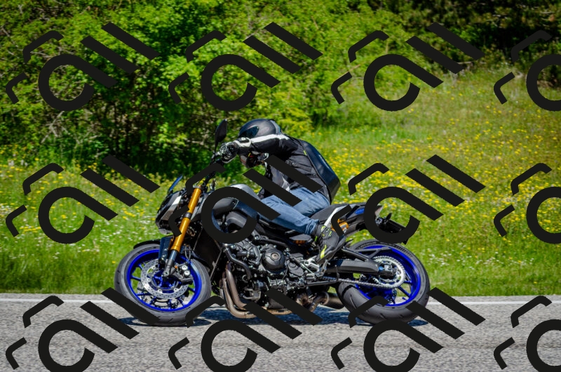 202506011238-DSC_4328_c2