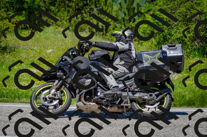 202506011238-DSC_4331_c2