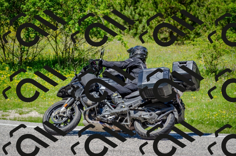 202506011238-DSC_4333_c2