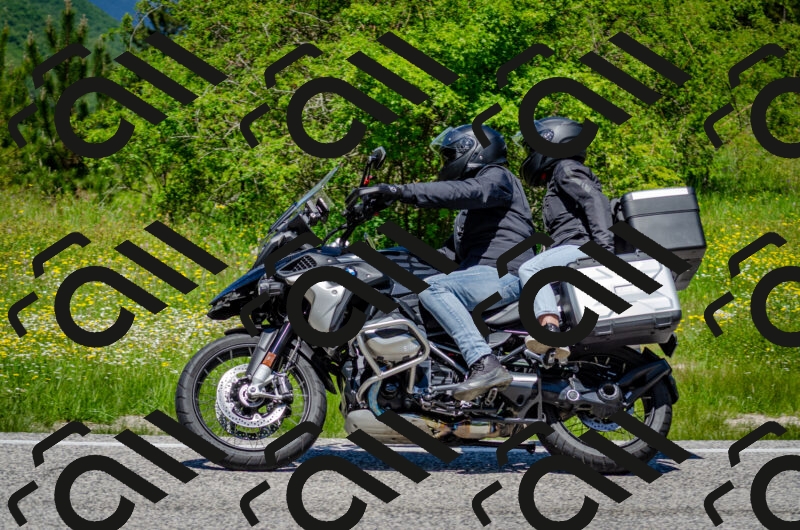 202506011238-DSC_4335_c2