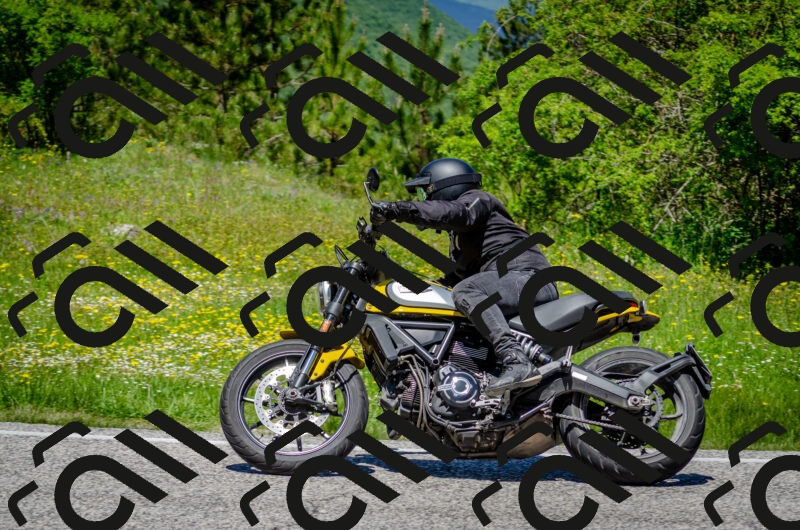 202506011238-DSC_4337_c2