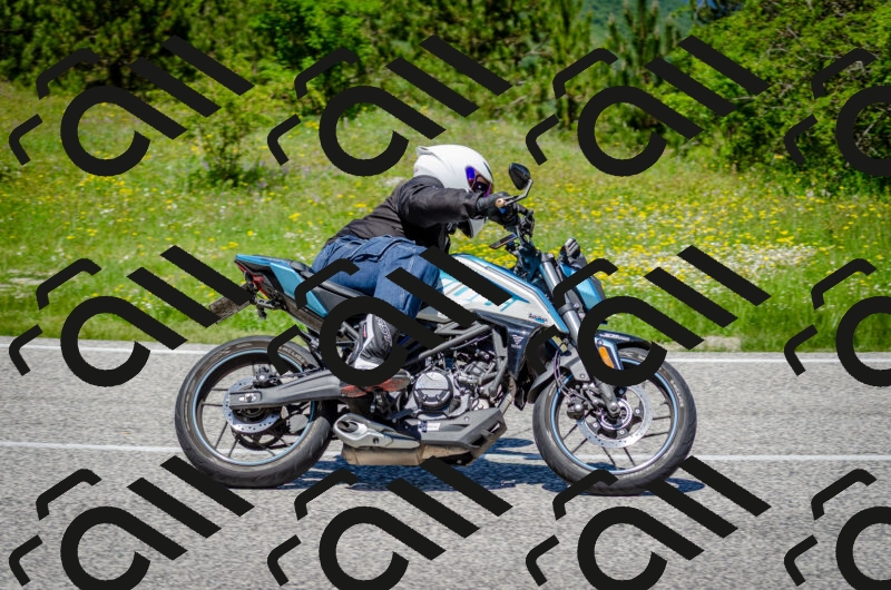 202506011239-DSC_4342_c2