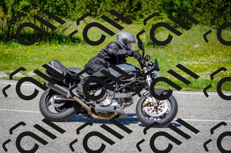 202506011239-DSC_4345_c2