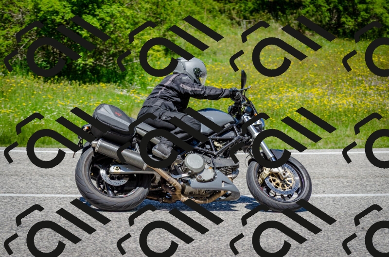 202506011239-DSC_4346_c2