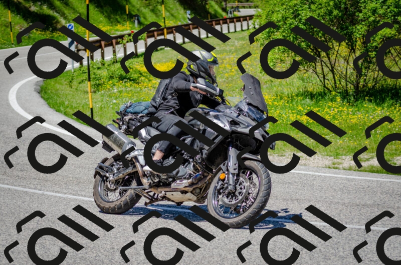 202506011240-DSC_4354_c2