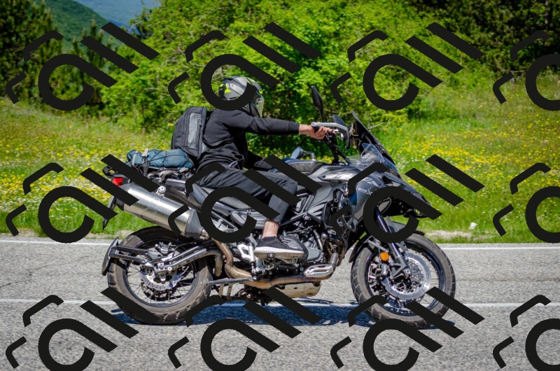 202506011240-DSC_4355_c2