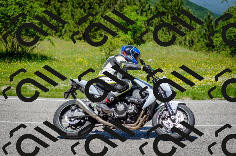 202506011241-DSC_4363_c2