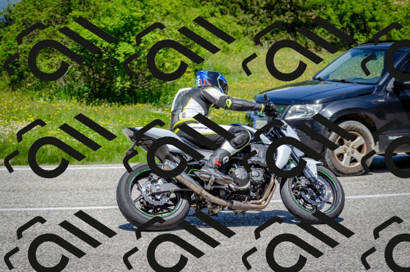 202506011241-DSC_4364_c2