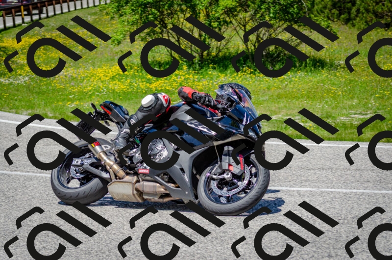 202506011241-DSC_4366_c2