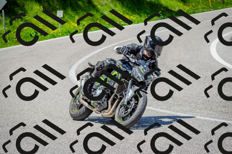 202506011241-DSC_4370_c2