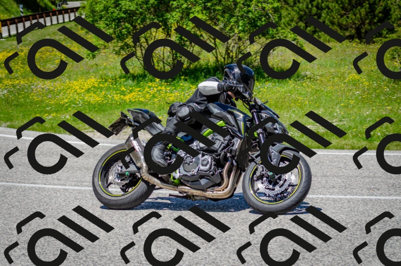 202506011241-DSC_4371_c2