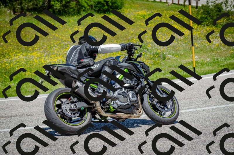 202506011241-DSC_4372_c2