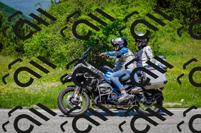 202506011241-DSC_4374_c2