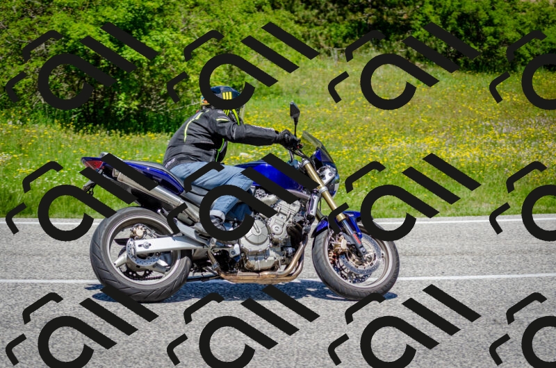 202506011241-DSC_4376_c2