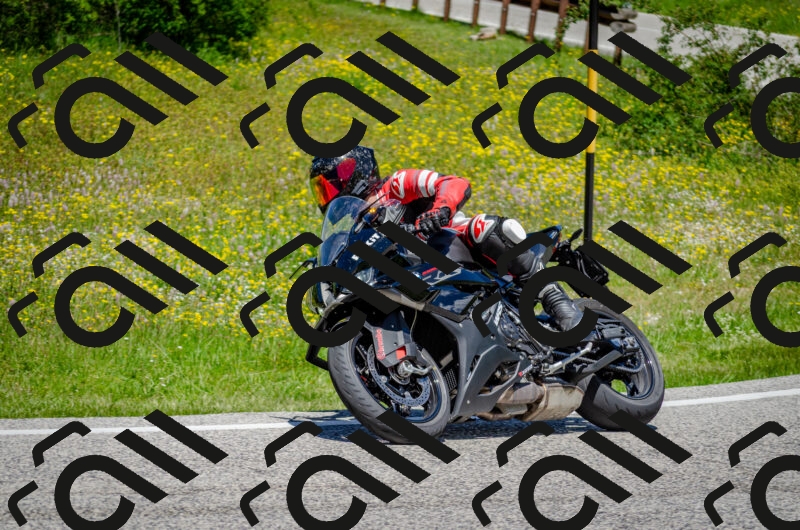 202506011242-DSC_4377_c2