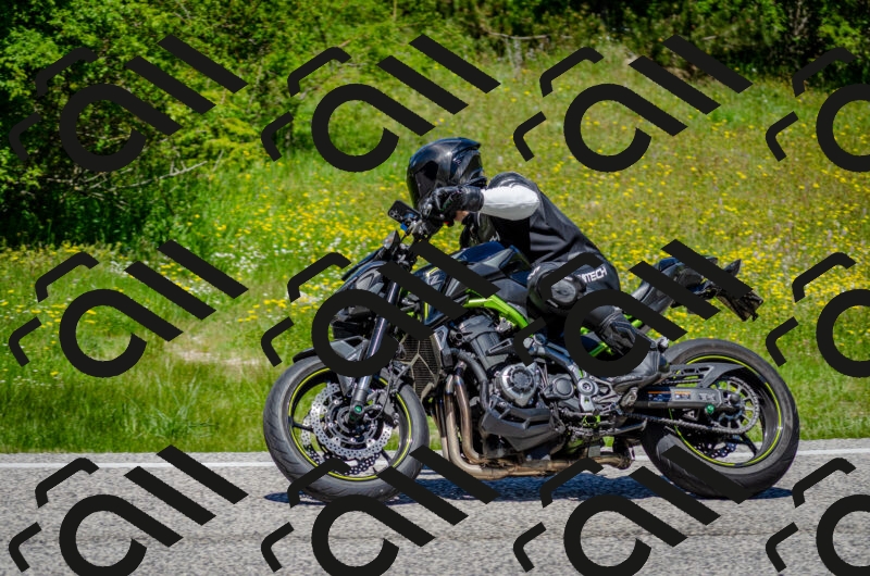 202506011242-DSC_4384_c2