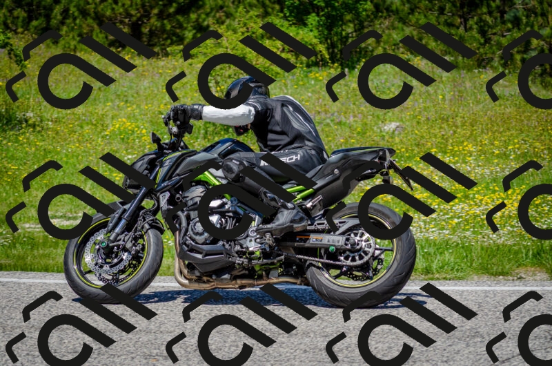 202506011242-DSC_4385_c2