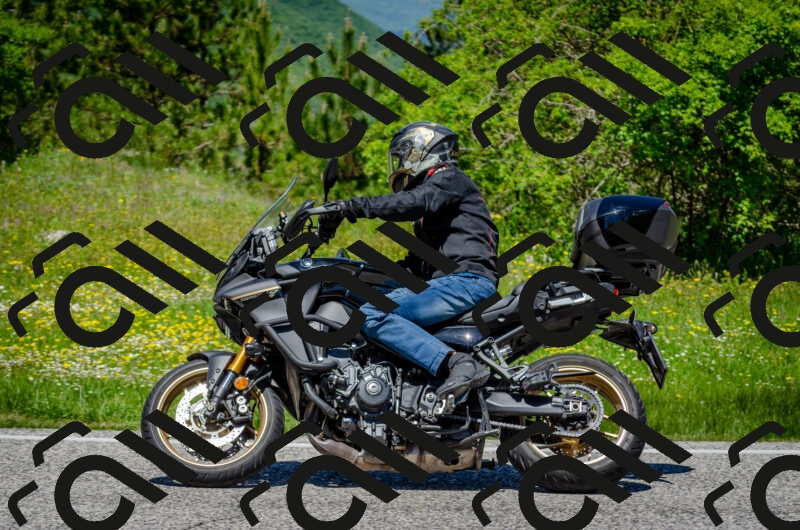 202506011242-DSC_4387_c2