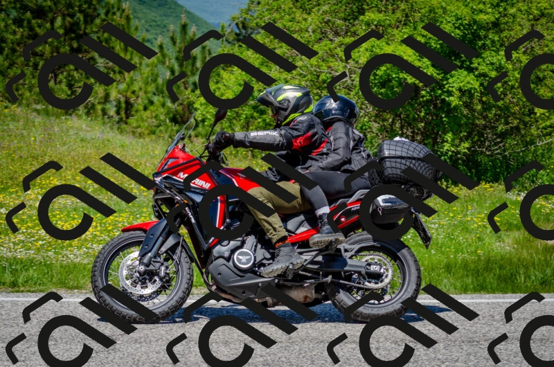 202506011242-DSC_4389_c2