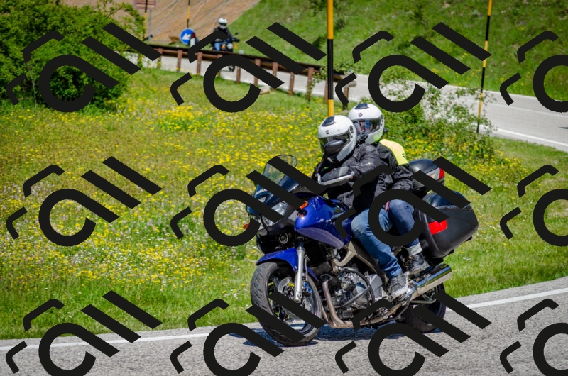 202506011242-DSC_4392_c2