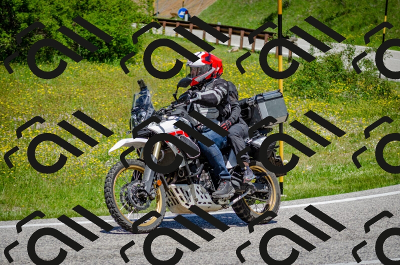 202506011242-DSC_4394_c2