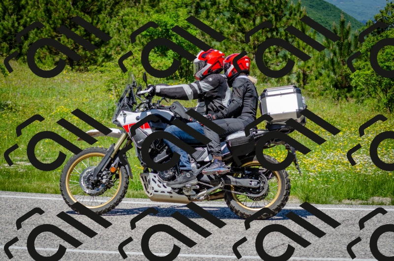 202506011242-DSC_4395_c2