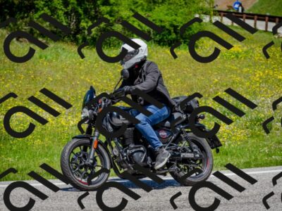 202506011242-DSC_4396_c2