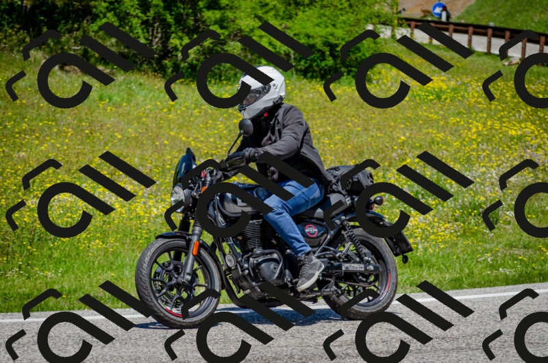 202506011242-DSC_4396_c2