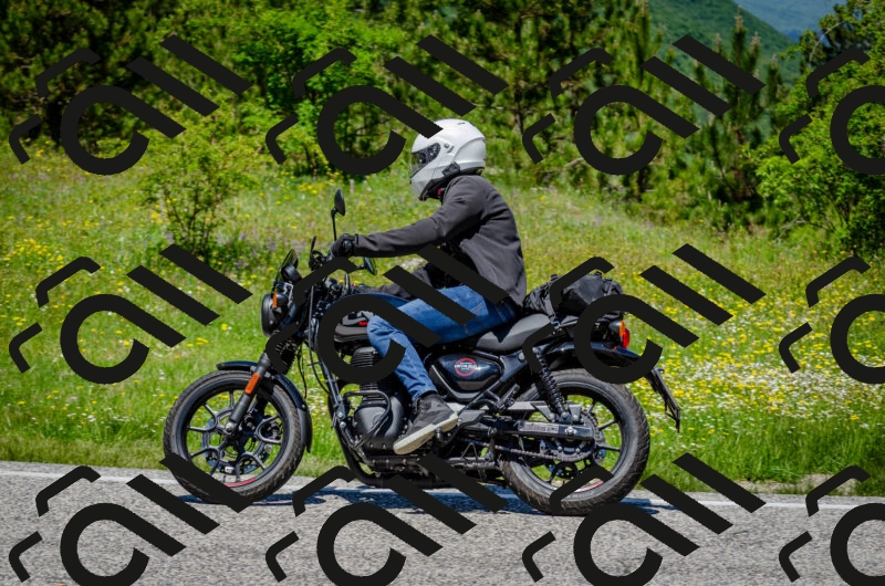 202506011242-DSC_4397_c2