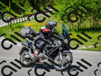 202506011243-DSC_4405_c2