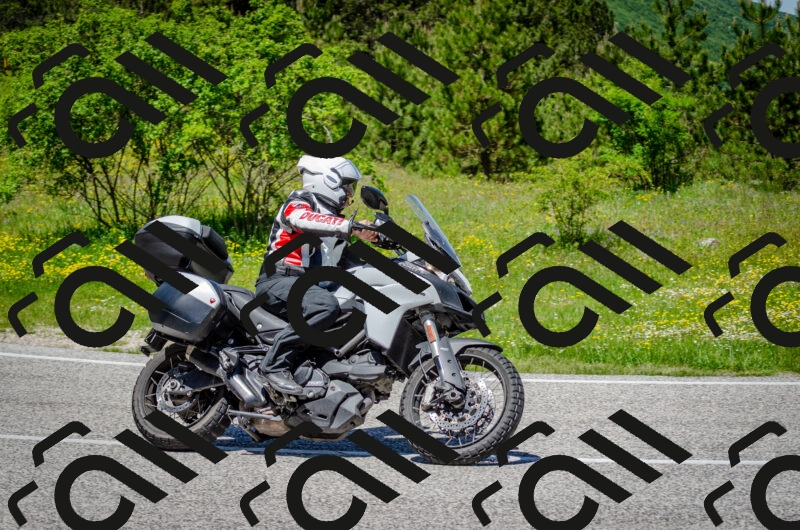 202506011243-DSC_4409_c2