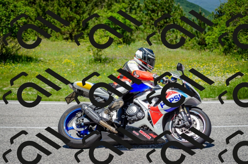 202506011243-DSC_4410_c2