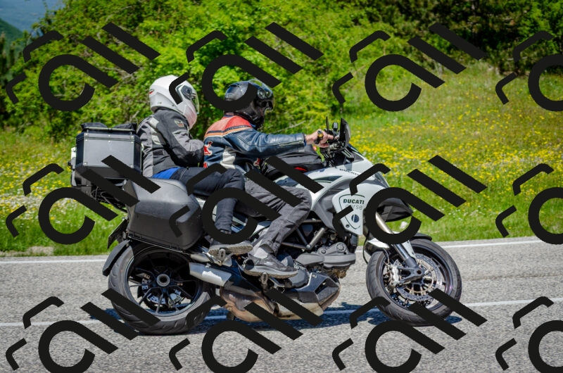 202506011243-DSC_4418_c2