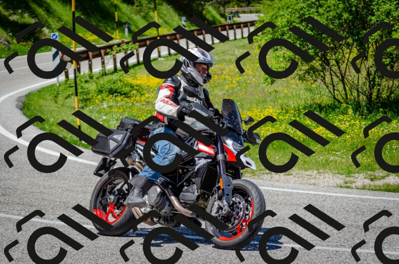 202506011243-DSC_4419_c2