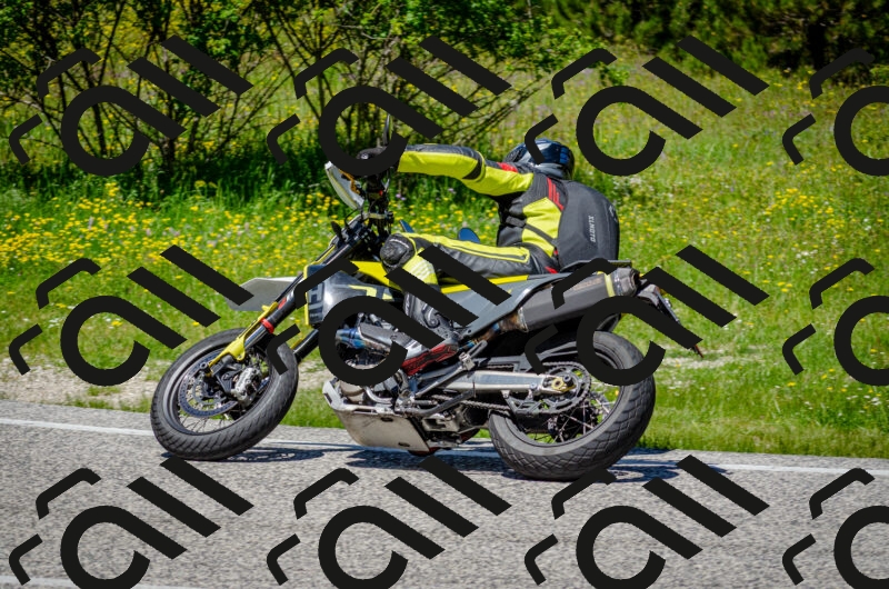 202506011244-DSC_4428_c2