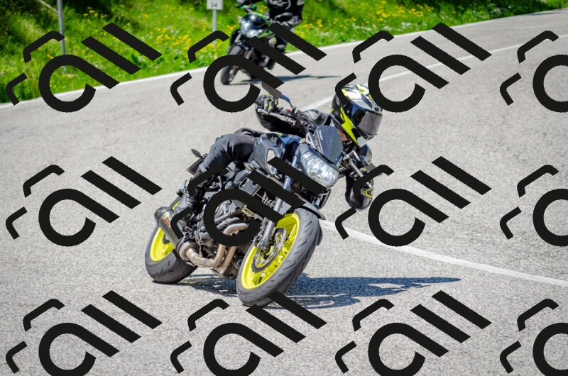 202506011244-DSC_4429_c2