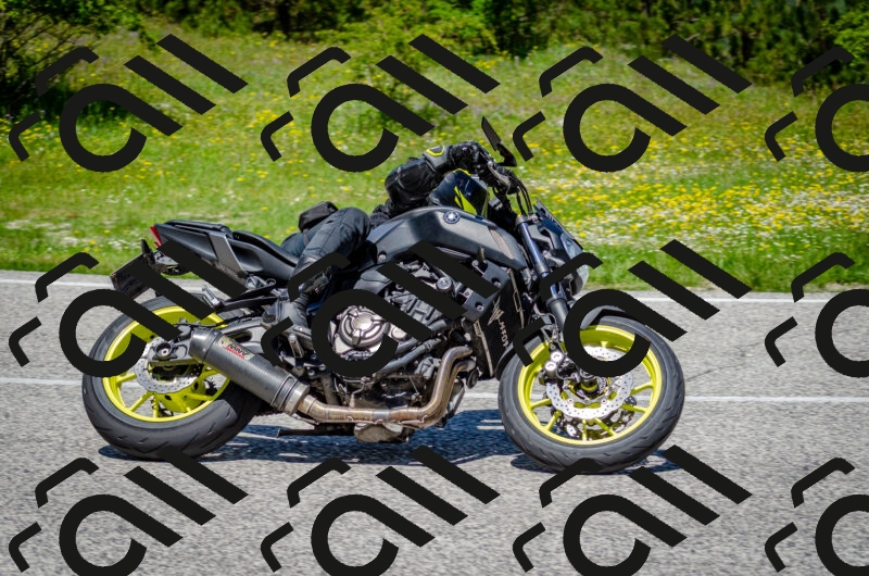 202506011244-DSC_4430_c2