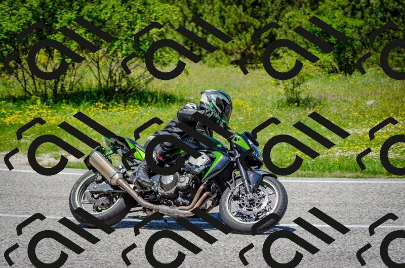 202506011244-DSC_4432_c2