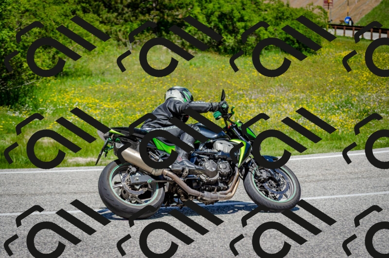 202506011244-DSC_4433_c2