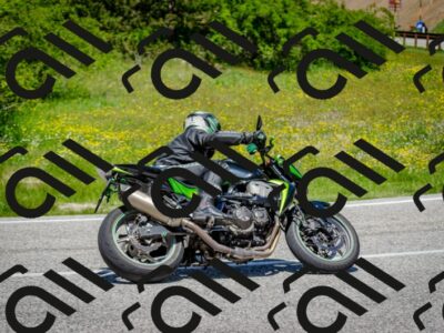 202506011244-DSC_4433_c2