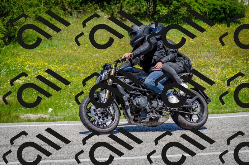 202506011245-DSC_4440_c2