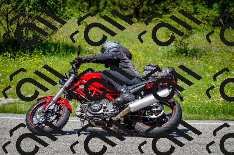 202506011246-DSC_4446_c2