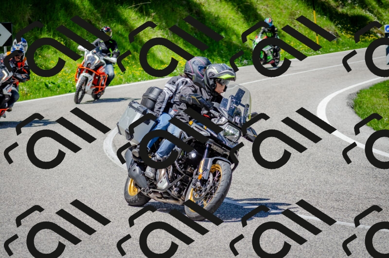 202506011246-DSC_4450_c2