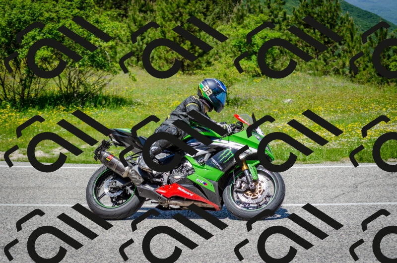 202506011246-DSC_4454_c2