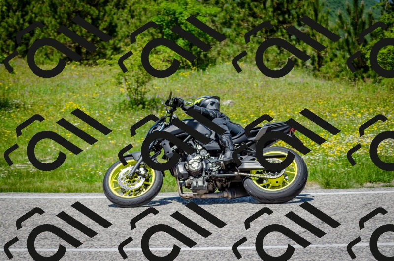 202506011246-DSC_4456_c2