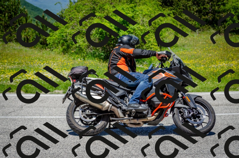 202506011246-DSC_4459_c2