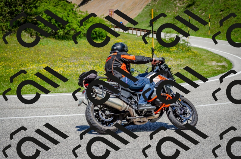 202506011246-DSC_4460_c2