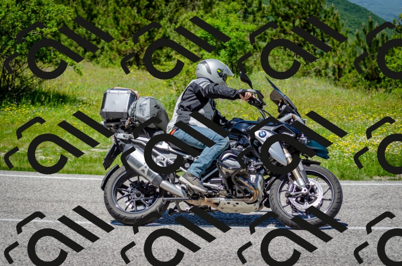 202506011246-DSC_4464_c2